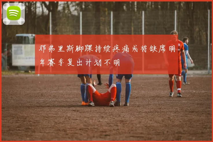 邓弗里斯脚踝持续疼痛或将缺席明年赛季复出计划不明