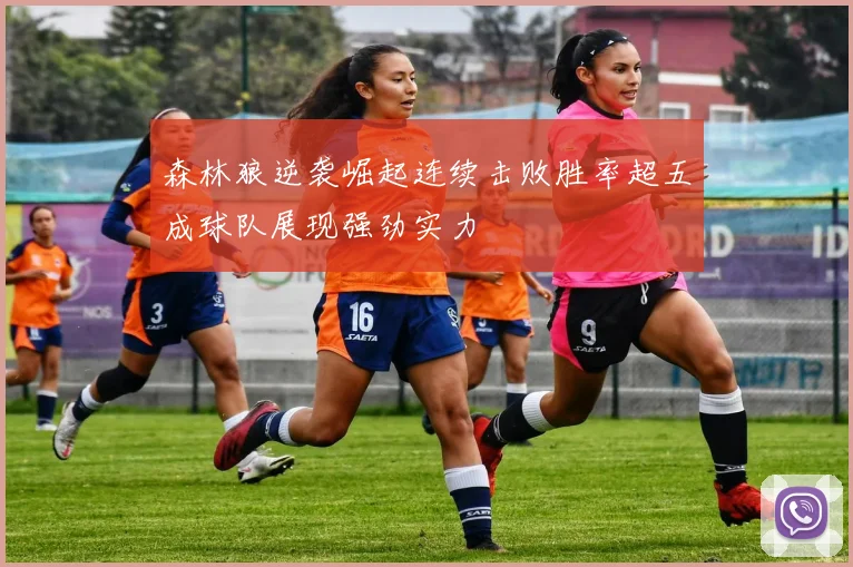 森林狼逆袭崛起连续击败胜率超五成球队展现强劲实力