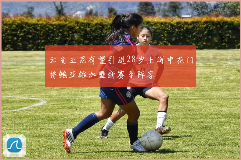 云南玉昆有望引进28岁上海申花门将鲍亚雄加盟新赛季阵容
