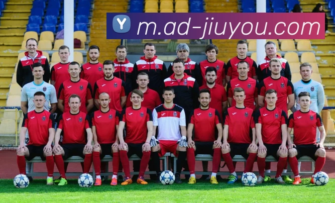 App Interface Preview