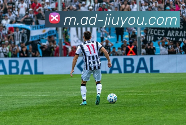 九游体育APP 封面图